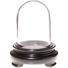 Plymor 1.85" x 2.875" Mini Glass Display Dome Cloche Black Wood Veneer