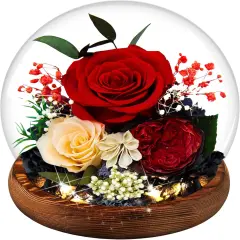 Women Preserved Red Real Rose Flowers in Glass Dome