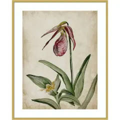 Elegance Unveiled II by Jacob q Wood Framed Wall Art Print