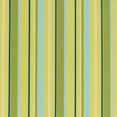 Kiwi - Green Stripe Upholstery Fabric 54 Inches"