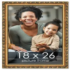 18x26 Museum-Quality Picture Frame with UV-Resistant Acrylic & Acid-Free Backing, Available in 4 Finishes - Gold, Silver, Bronze, and Black