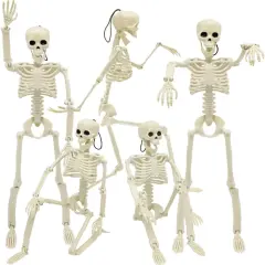 5 Packs 16" Halloween Skeletons