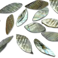 6 Packs of Leaf Tinted Shell Beads - Gray - 2 x 8" Strand