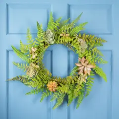 Northlight Succulents and Foliage Artificial Spring Twig Wreath, Green - 22-Inch