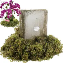 Fake Moss for Potted Plants Indoor, Artificial Moss for DIY Crafts, Faux Decroative Moss for Fake Plants Home & Garden Wedding Decor