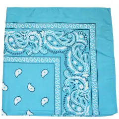 Set of 250 Qraftsy Paisley 100% Cotton Double Sided Bandanas - Bulk Lot