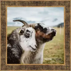 Square Sculpted Black Picture Frame - UV Acrylic, Foam Board Backing, Hanging Hardware