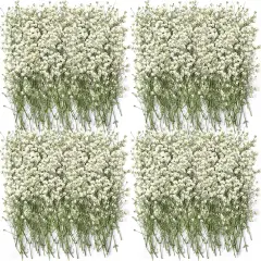 200 Pcs Mini Dried Babys Breath Flowers Bulk White Dried Pressed Natural Flowers Real Gypsophila Baby Breath for Wedding Resin Art Craft DIY Invitations Card Making Home Party Floral Decor