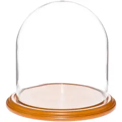 Plymor 9.75" x 10" Glass Display Dome Cloche Oak Veneer