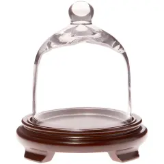 Plymor 5" x 6" Bell Jar Glass Display Dome Cloche Walnut Wood Veneer