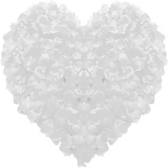 3000 pcs White Rose Flower Petals Artificial Flowers Silk Rose Petals Fake Rose Petals for Romantic Night Valentine ' Day Wedding Party Flower Decorations