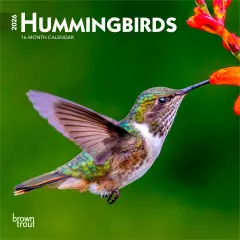 Hummingbirds | 2026 7 x 14 Inch (Hanging) Monthly Mini Wall Calendar