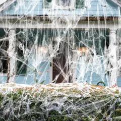 200 sq. ft. Stretchable Spider Web with Bonus 10 Fake Spiders for Halloween Decor