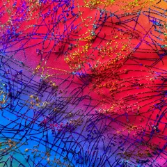 1 Yard Hologram Multi Dancing Splash Polyester Spandex Fabric 56/57 Inch Width Royal 0range