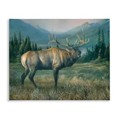 Stupell Industries Powerful Elk in Field Canvas Wall Art Design by Laura Mark-Finberg