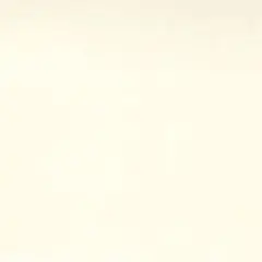 Natural Muslin Cotton 200 Count Wideback Fabric Per Yard 110"