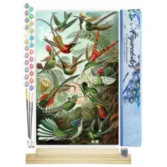 Figured'Art Paint by Numbers Kit for Adults All the Birds 16"x20" - Craft Art Painting Rolled Canvas with DIY wooden frame