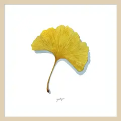 Golden Ginkgo Study II by Grace Popp Wood Framed Wall Art Print