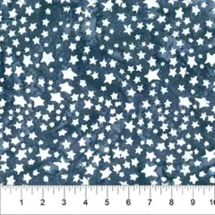 Banyan 83285-980 ARCTIC FUN Stars - Stormy Weather 45" Fabric Per Yard
