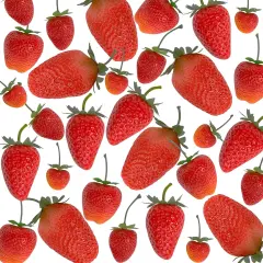 30 Pieces Artificial Strawberries Assorted Size