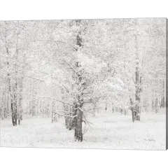 Snow Covered Cottonwood Trees by Alan Majchrowicz 20" x 16" Canvas Wall Art