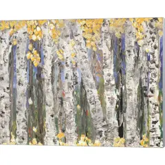 Yellow Leaf Birch Trees by Roey Ebert 20" x 16" Canvas Wall Art