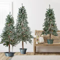 Northlight Pre-Lit Slim Flocked Alpine Artificial Christmas Trees - 5' - Multi Lights - Set of 3 Green