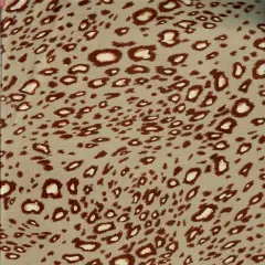 Soft Brushed DTY Knit Animal Print Stretch Fabric 58/60" Wide TAN