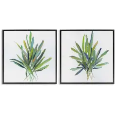 Stupell Industries Layered Plant Sprigs 2pc Framed Giclee Wall Art Set Design by Sally Swatland