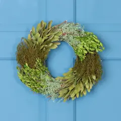 Northlight Cedar, Succulent and Day Grass Artificial Spring Wreath, Green -14-Inch