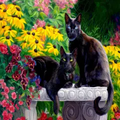 Sunsout Black Beauties 1000 pc Jigsaw Puzzle 59140