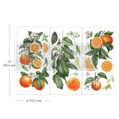 Small Transfers - Citrus Slice - 3 sheets, 6"x12"