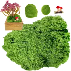 Preserved Moss Bulk Green Natural Preserved Pole Moss Pillow for Potted Plants 2.5 sq.ft Green Moss Balls for Bowls Wall Art Terrariums Crafts Fairy Gardens
