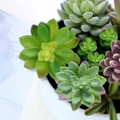 Artificial Succulent Plants - 16 Pcs Set Faux Succulents Unpotted Fake Succulent Plants, Premium Crafting DIY Floral Decor for Home Garden Office Party (High Realistic)