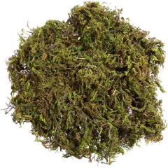 Artificial Moss : 60g Artificial Green Fake Moss for Crafts Decorative Artificial Faux Moss for Plant Craft Flower Garden Wedding Christmas Table Centerpieces Decor