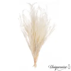 Uniquewise Preserved Real Floral Stems Chic Vase Fillers & Accents for Bouquets Centerpieces & Ornamental Displays Ideal for Home Office Boutique Cafe Resto Bar and Event Decor White m. bracteata