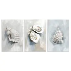 Stupell Industries Various Seashell Mirages 3pc Wall Plaque Set By Ramona Murdock