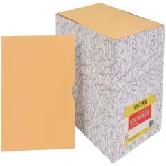 School Smart Report Card Envelope, 28 lb, 6 x 9 Inches, Kraft, Pack of 500
