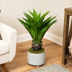 Northlight Real Touch&trade;️ Green Artificial Agave Succulent Plant In a Black Pot - 30.5" Brown