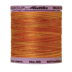 Falling Leaves (9085-9858) | Silk-Finish Cotton Multi 50wt (457M / 500Y) | Mettler Thread
