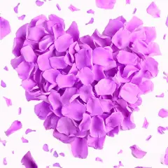 180 PCS Real Purple Rose Petals for Wedding, 1.76oz Dried Flower Petal for Flower Girl to Throw, Romantic Night Baby Shower Proposal