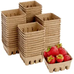 60 Pack Pulp Fiber Berry Baskets for Fruits and Vegetables, Farmers Market, Grocery Store, 1/2 Pint (4 x 4 x 1.81 In) Brown