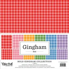 Echo Park Bold Gingham Collection Kit