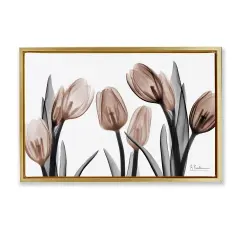Stupell Industries Mocha & Discovery Tulips Floating Frame By Albert Koetsier