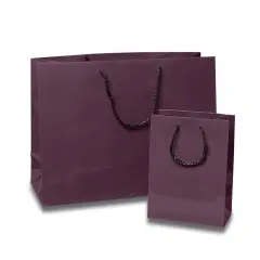Sleek and Compact Glossy Euro Totes 4 3/4'' x 2 3/4'' x 6 3/4'' Purple Haze