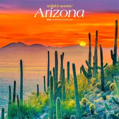 Arizona Wild & Scenic | 2026 12 x 24 Inch (Hanging) Monthly Square Wall Calendar | Plastic-Free