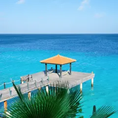 Caribbean Teakwood - Wholesale Candle Fragrance Oil