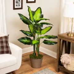 Northlight Wide Leaf Artificial Dieffenbachia Potted Plant - 51" Green