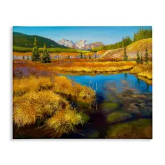 Stupell Industries Lush Pond Landscape Canvas Wall Art Design by Andrew Kiss