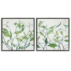 Stupell Industries Green Botanical Leaves Xray 2 pc Framed Giclee Wall Art Set Design by Victoria Barnes